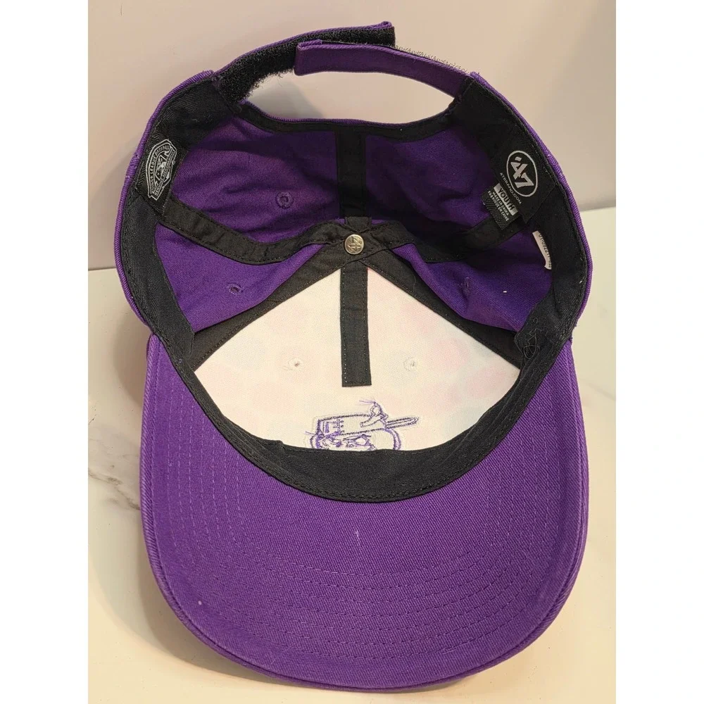 47 Brand Youth Fort Wayne TinCaps Logo Adjustable Baseball Hat Cap